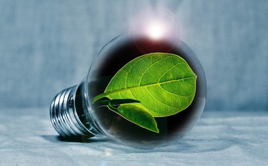 lightbulb-2631864_1280 innovazione e ambiente