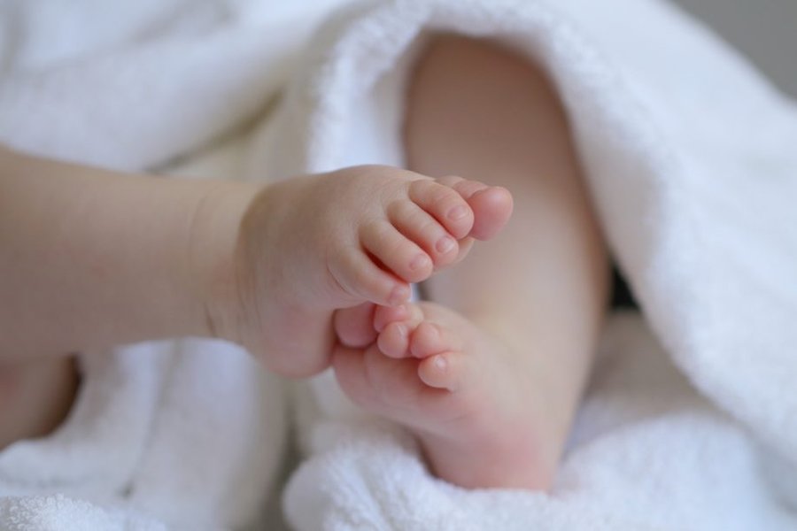 pediatria