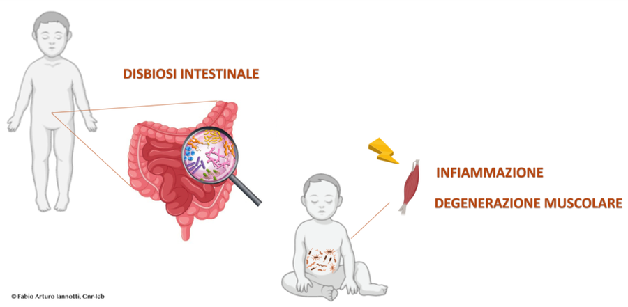 Duchenne