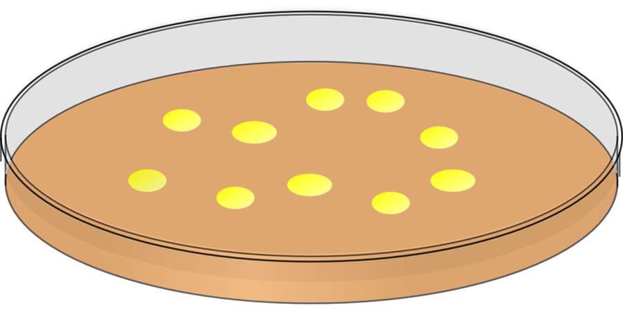 antimicrobicoresistenza