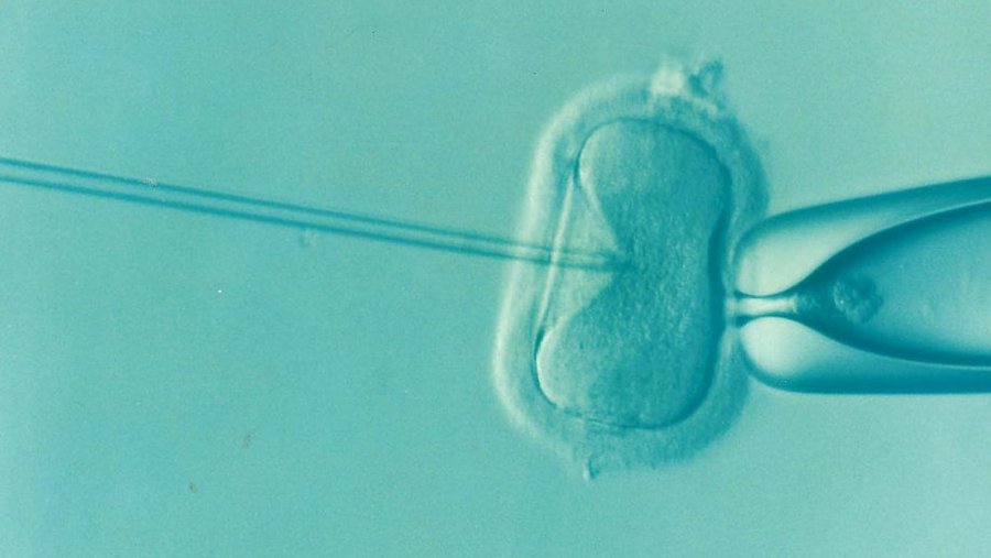 ivf-1514174_1280 infertilità
