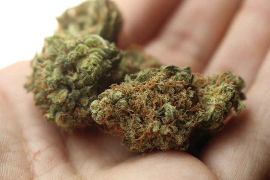 weed-ga2ed6a465_1280 cannabinoidi