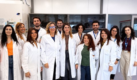 GRUPPO DI LAVORO_Cellule Linfoid