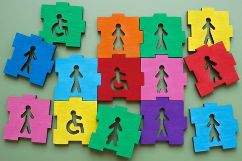 disability manager
